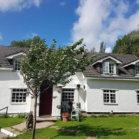 Coynant Farm Guesthouse - Farm Park Stay 스완지 외부 사진