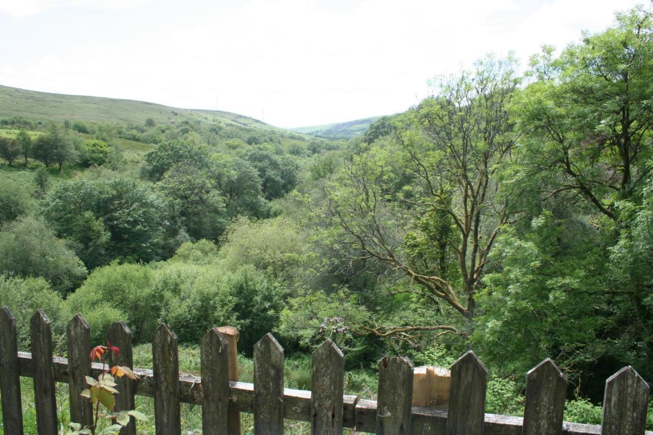 Coynant Farm Guesthouse - Farm Park Stay 스완지 외부 사진