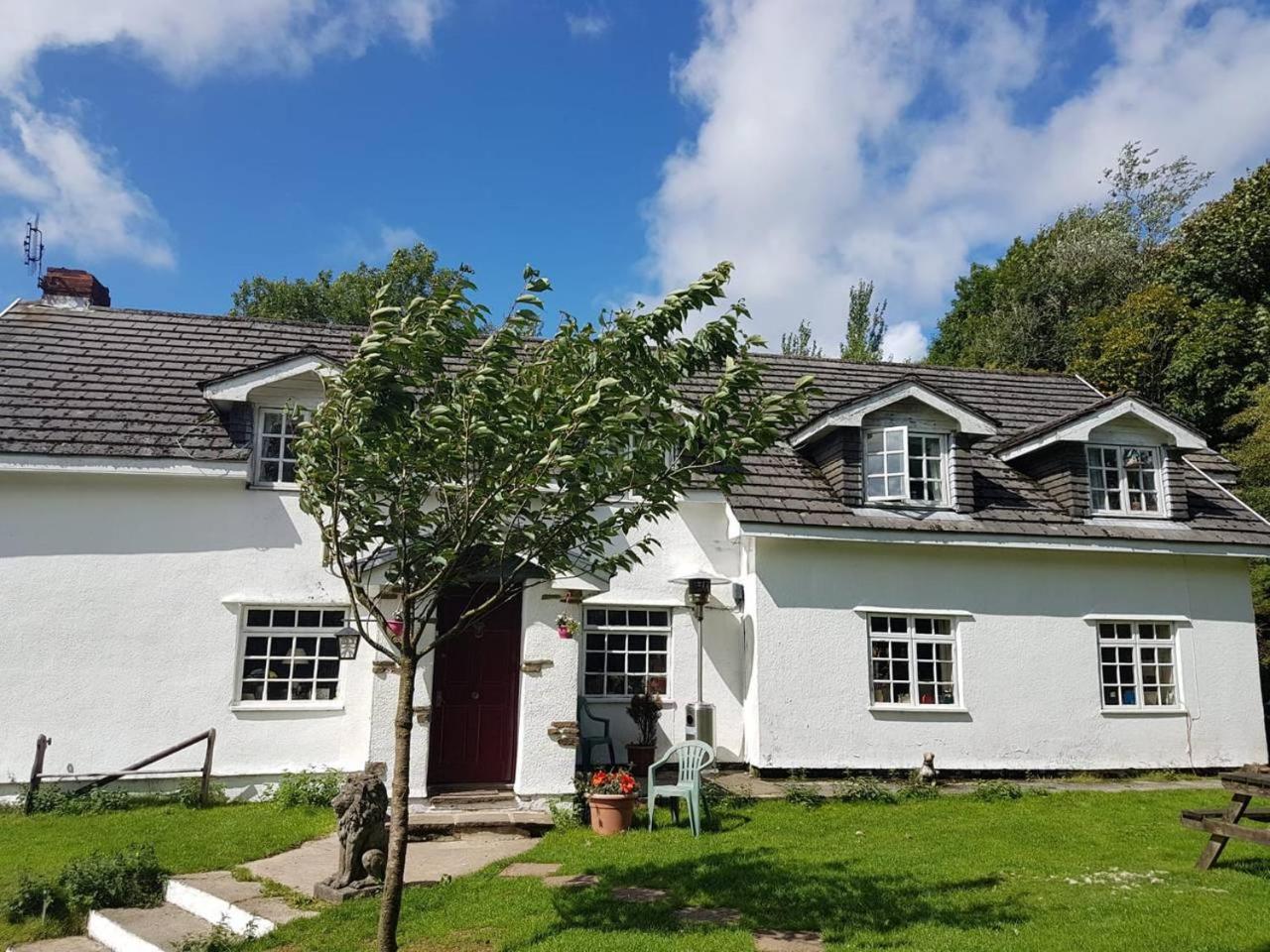 Coynant Farm Guesthouse - Farm Park Stay 스완지 외부 사진